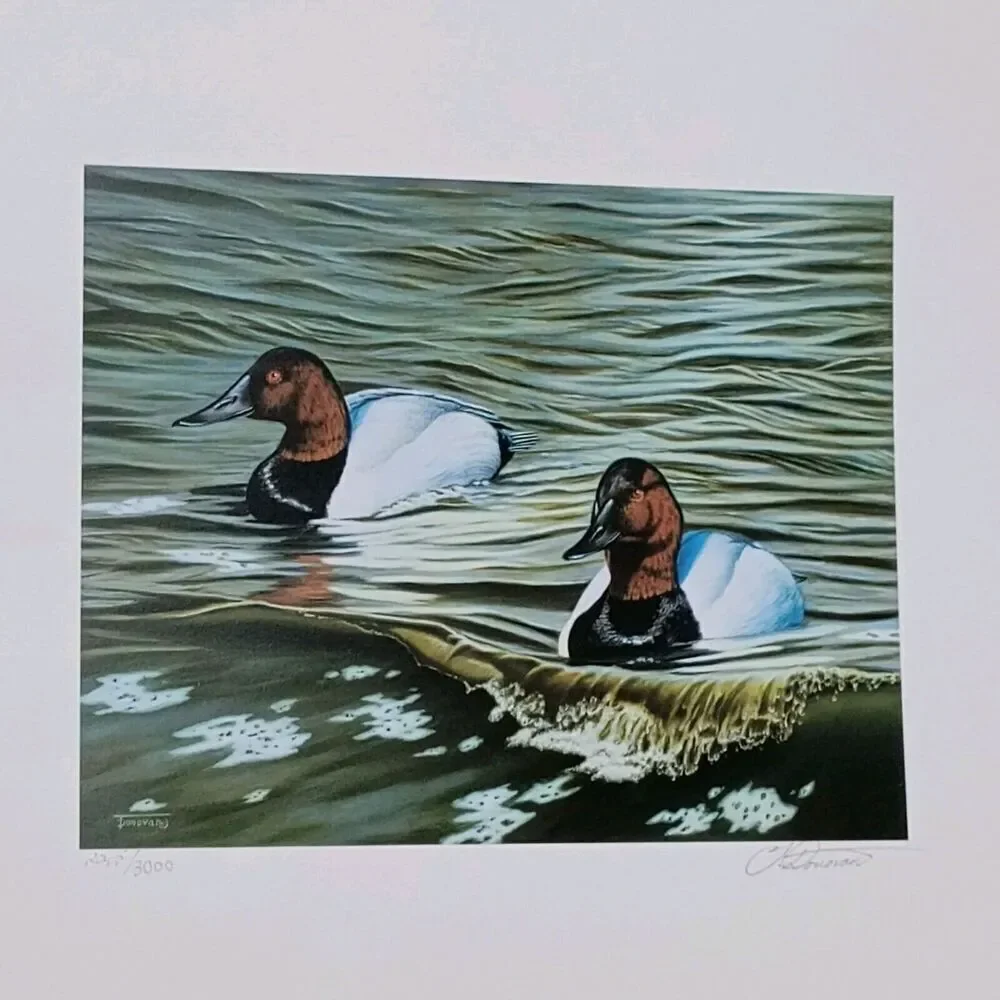 Tim Donovan Ducks Unlimited 
